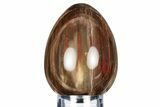 Colorful, Polished Petrified Wood Egg - Madagascar #318338-1